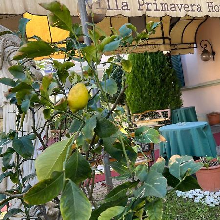 Hotel Villa Primavera Pisa Esterno foto